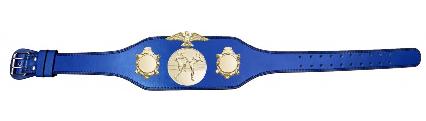 THAI BOXING CHAMPIONSHIP BELT-BUD004/G/TBOG-4 COLOURS